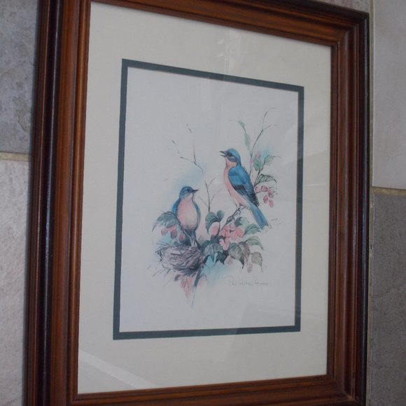 Gorgeous Bird print signed, matted & professionally framed in wood frame - Picture 2 of 6